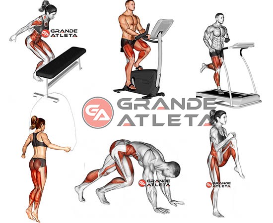 Emagrecimento Acelerado com Treinos HIIT: Sequências Visuais para Queimar Gordura - ideia