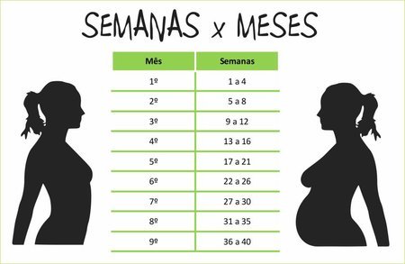 A Conversão Exata: 22 Semanas Traduzidas para Meses - inspiração 1