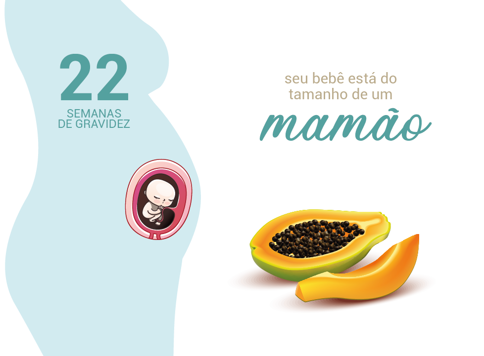 Achei que 22 semanas eram X meses, e agora? - inspiração 2
