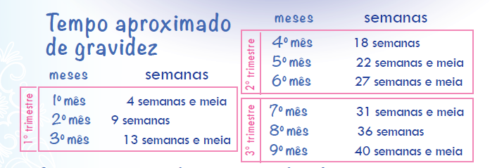 Cuidados Essenciais Nesta Fase da Gestação - inspiração 1