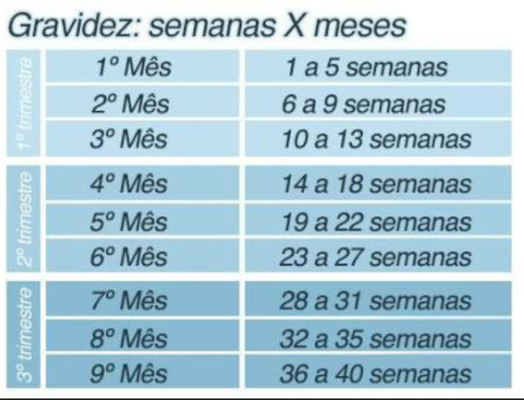 A Contagem Oficial: Semanas vs. Meses na Gravidez - inspiração 1