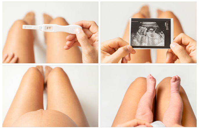 Entendendo o Terceiro Trimestre e Suas Semanas - inspiração 1