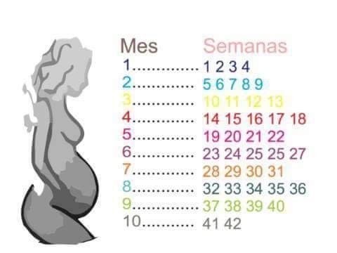 Entendendo o Terceiro Trimestre e Suas Semanas - inspiração 2