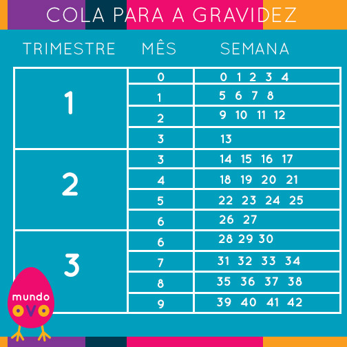 O Primeiro Mês de Gestação: O Que Acontece? - inspiração 1