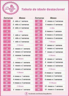 O Segundo Mês: Desenvolvimento Inicial do Bebê - inspiração 2