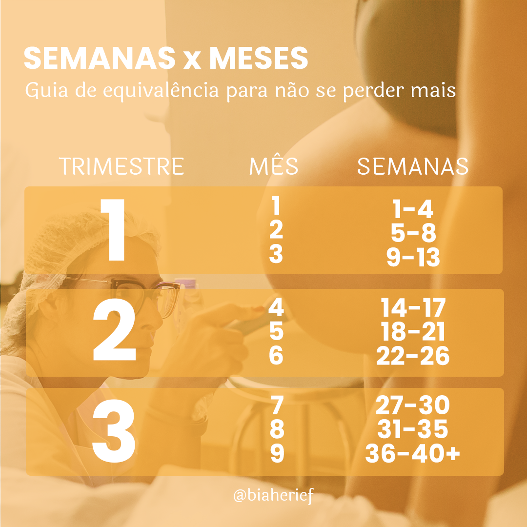 O Terceiro Mês: Primeiros Sinais e Adaptações - inspiração 2