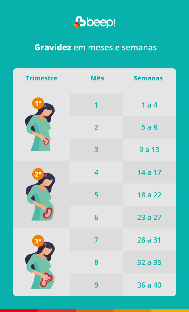 23 Semanas: Em Qual Mês Você Está? - inspiração 1