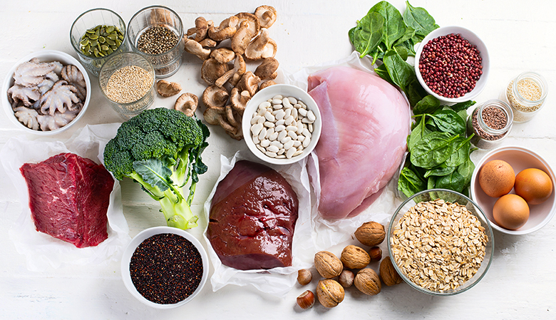 Os Campeões do Ferro: Fontes Animais Incríveis - inspiração 1