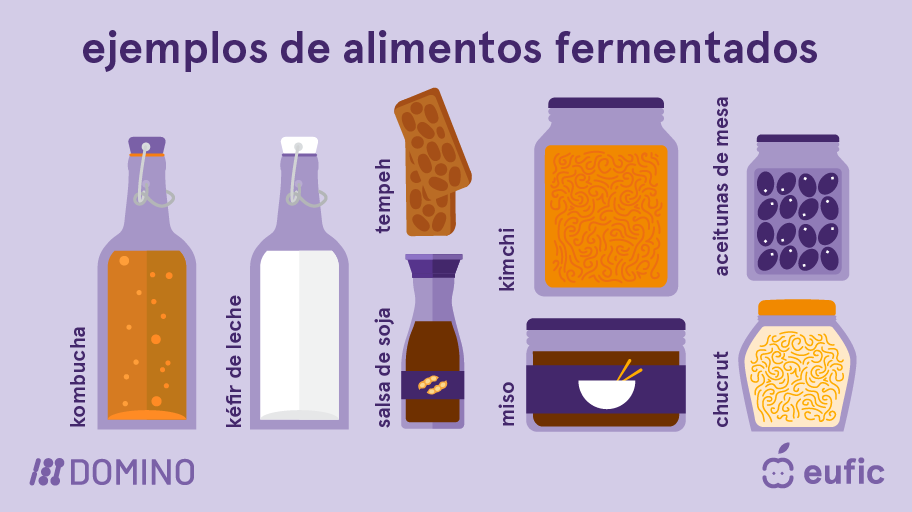 Como Começar a Fazer Seus Próprios Fermentados em Casa: É Mais Fácil do Que Você Imagina! - inspiração 2