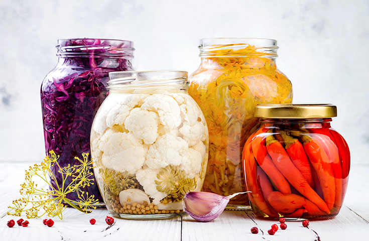 Dicas de Segurança e Conservação: Mantenha Seus Fermentados Perfeitos - inspiração 2