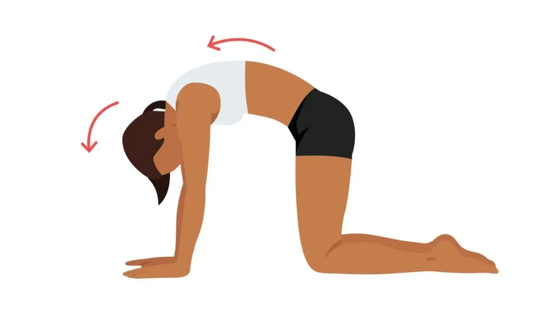 Alongamento Cobra Suave: Abertura Consciente do Tronco - inspiração 2