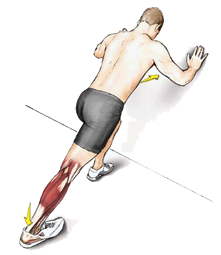 Adutores e Abdutores: O Equilíbrio Essencial para Quadris Saudáveis - inspiração 1