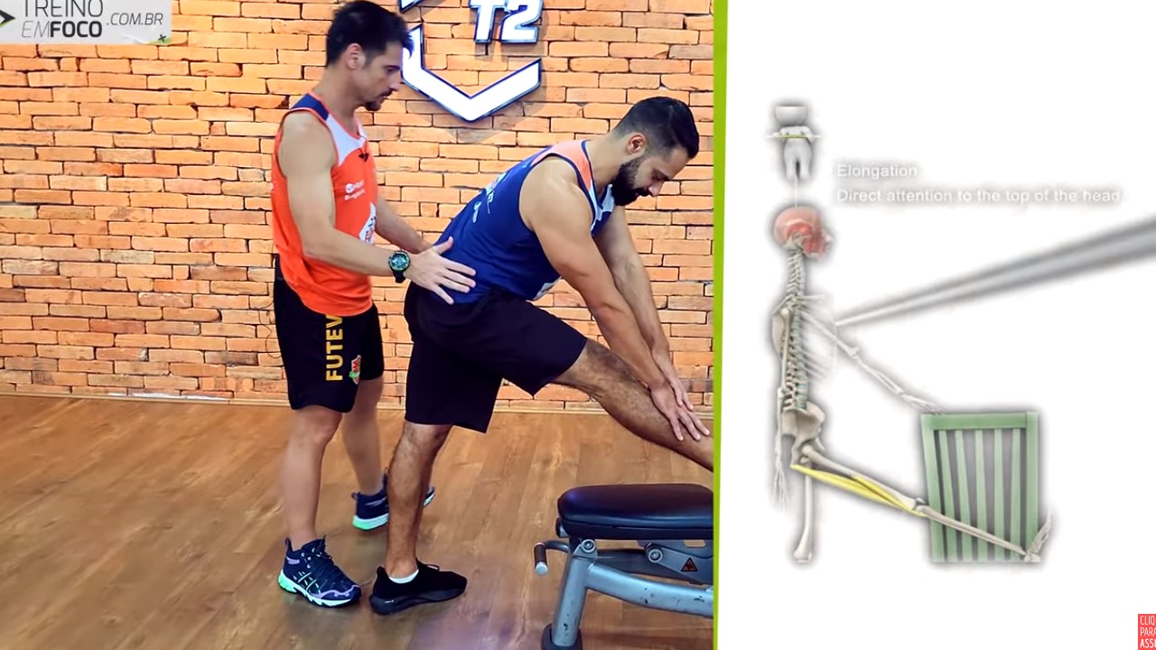 Alongamentos Estáticos: Acalme Seus Músculos e Promova o Relaxamento Pós-Exercício - inspiração 1