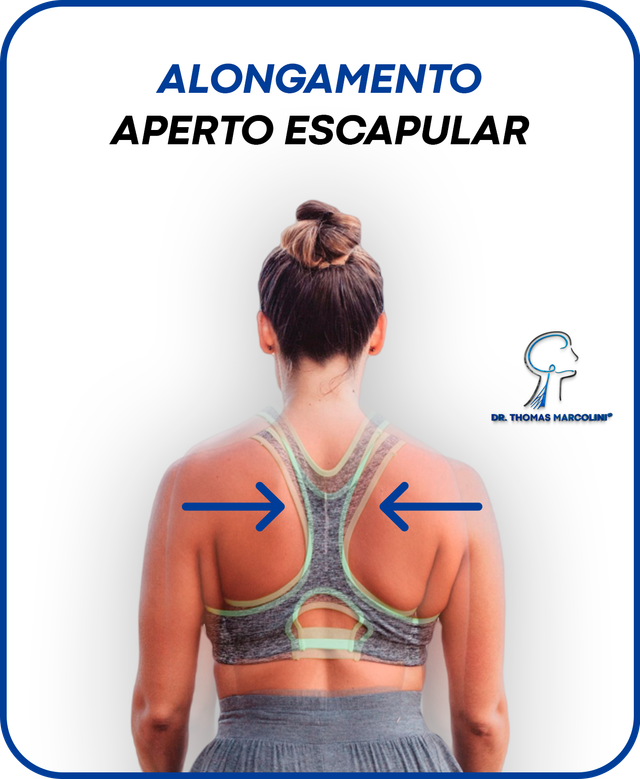 Sinais de alerta: Quando o alongamento de escápulas é urgente? - inspiração 1