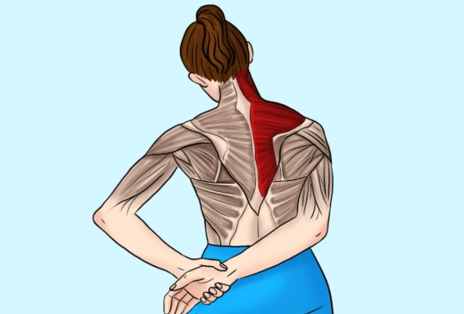 Intensificando com Conforto: Ajudando com a Mão (Opcional) - inspiração 1