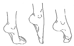 Por que alongar seus pés e dedos é essencial? - inspiração 2