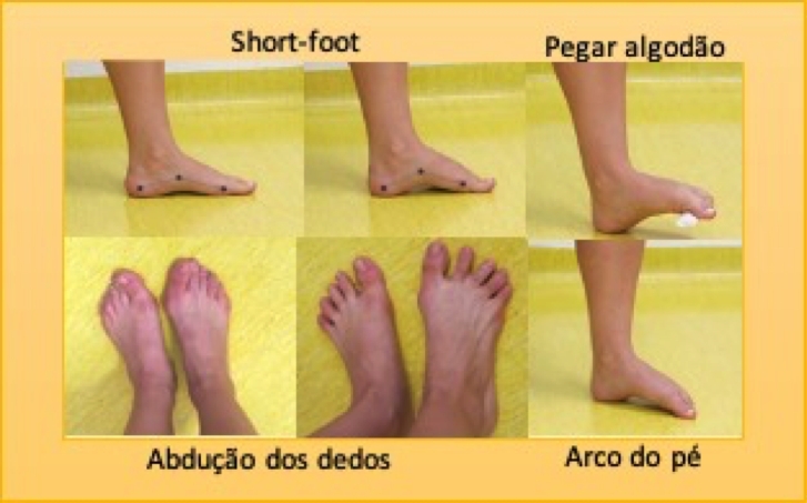 A Importância do Alongamento do Tornozelo: Mobilidade em Foco - inspiração 1