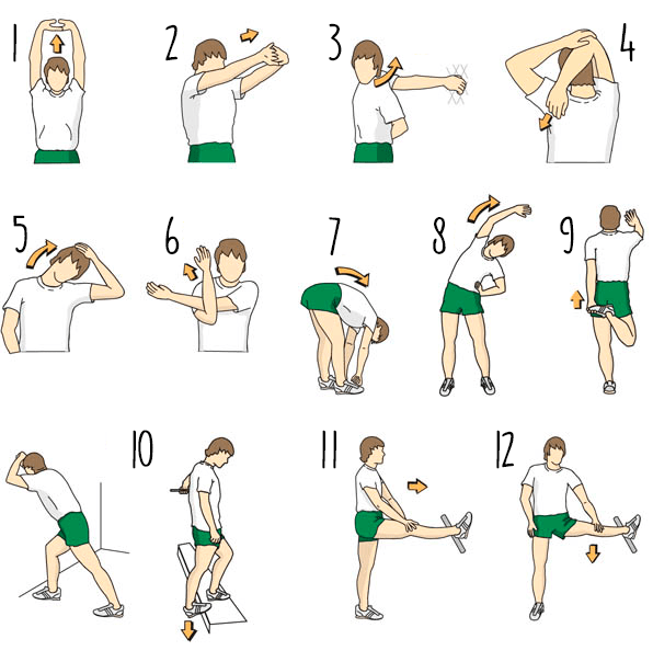 Por Que Seus Músculos Clamam por Movimento Logo ao Acordar - inspiração 1