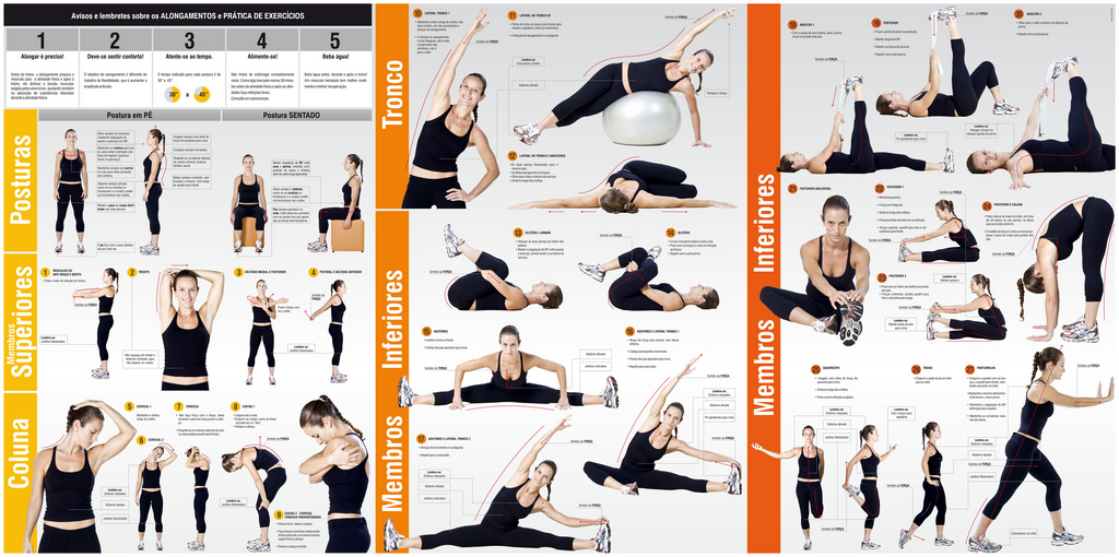 Alongamento para o Pescoço: Diga Adeus à Tensão dos Livros - inspiração 1