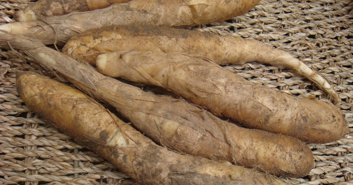 Cozinhando com Araruta: Espessante Natural Perfeito - inspiração 1