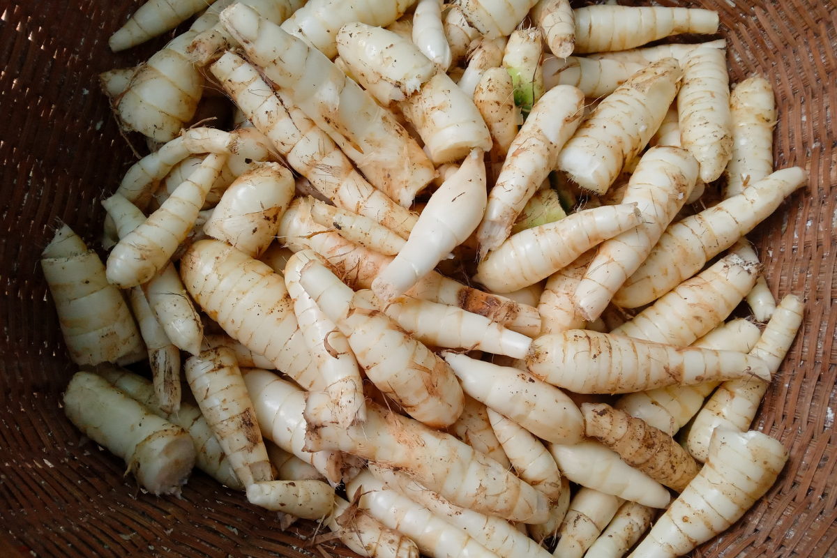 Cozinhando com Araruta: Espessante Natural Perfeito - inspiração 2