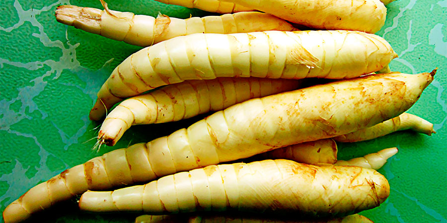 Receitas Deliciosas e Saudáveis com Araruta - inspiração 2