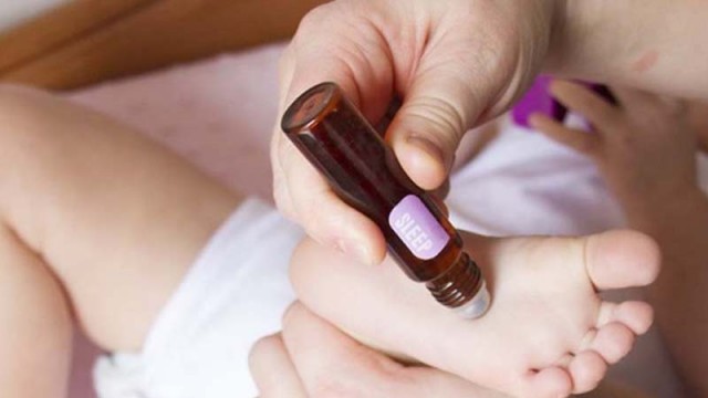 Citronela e Eucalipto: Proteção e Bem-Estar para o Sono Profundo - inspiração 2