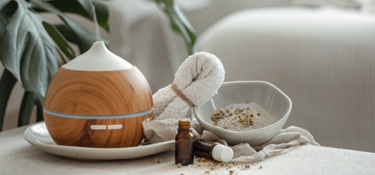 Lavanda: O Clássico Indispensável para o Descanso - inspiração 2