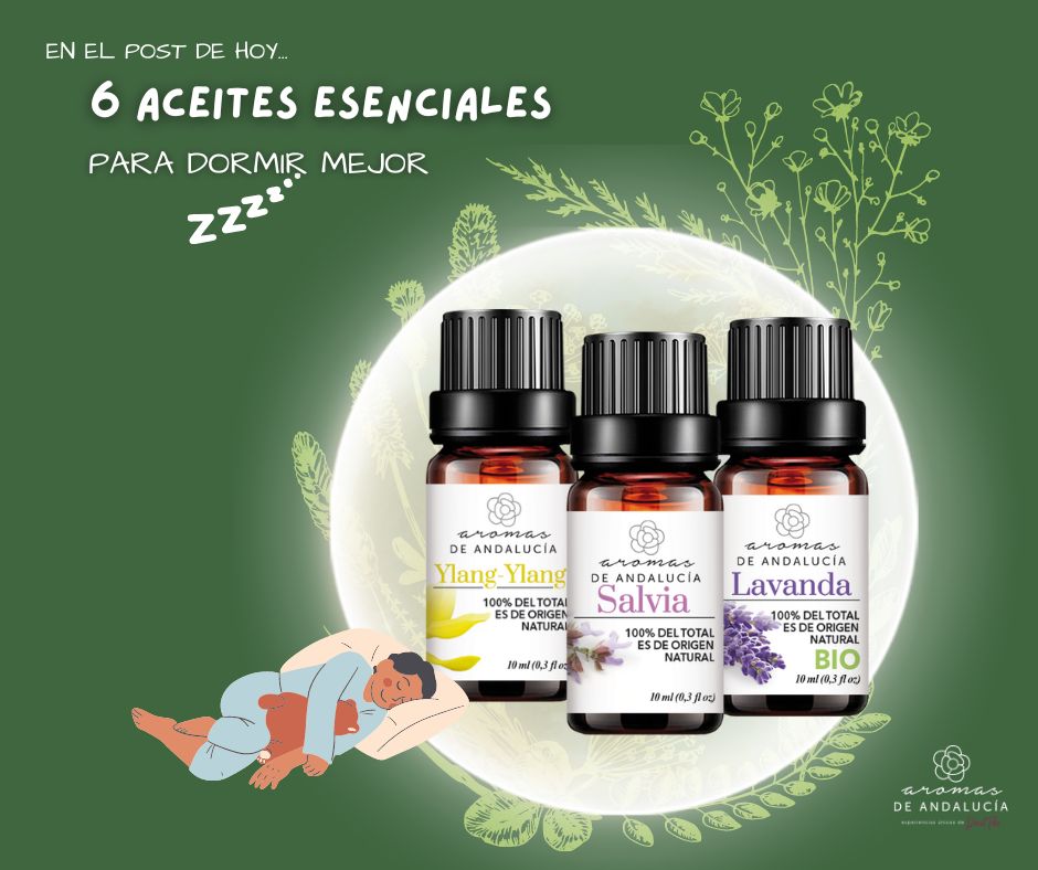 Camomila: Suavidade e Tranquilidade para sua Mente - inspiração 1