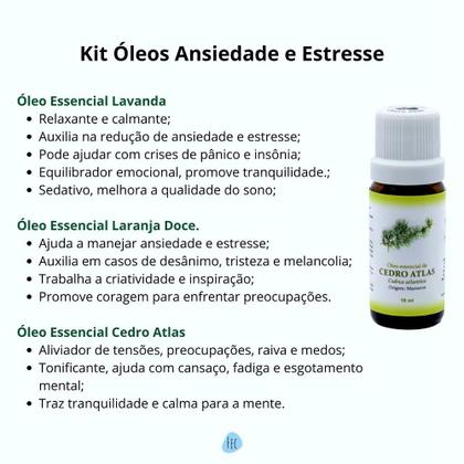 O Que é Aromaterapia e Como Ela Age em Você? - inspiração 2