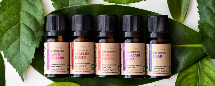 Lavanda: A Rainha do Sono e da Calma - inspiração 2