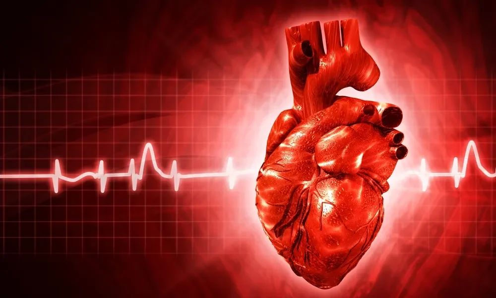 O Ritmo Acelerado: Taquicardia e Seus Gatilhos - inspiração 1