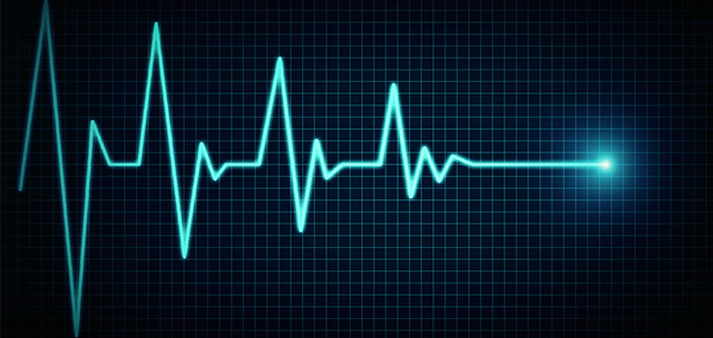 Batimentos por Minuto em Repouso: Seu Termômetro Pessoal - inspiração 2