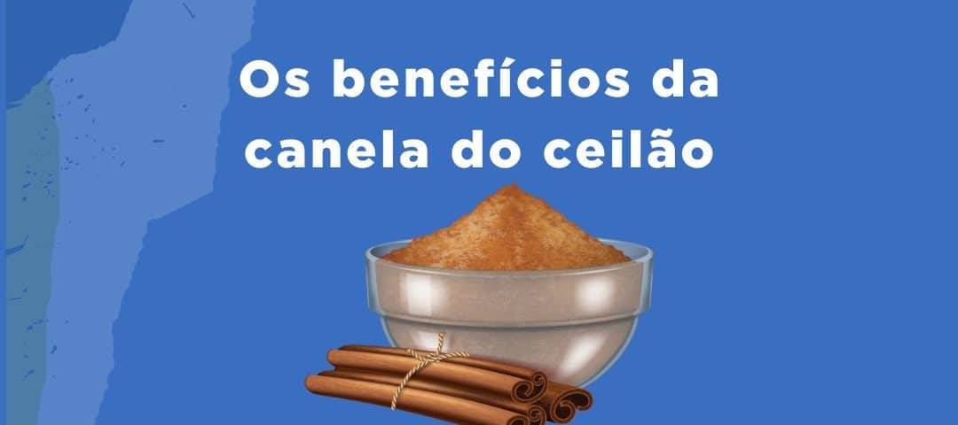 O Aroma Que Alivia o Estresse e Melhora o Humor - inspiração 2