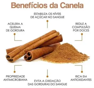 Saúde do Coração: Um Carinho Para Seu Sistema Cardiovascular - inspiração 1