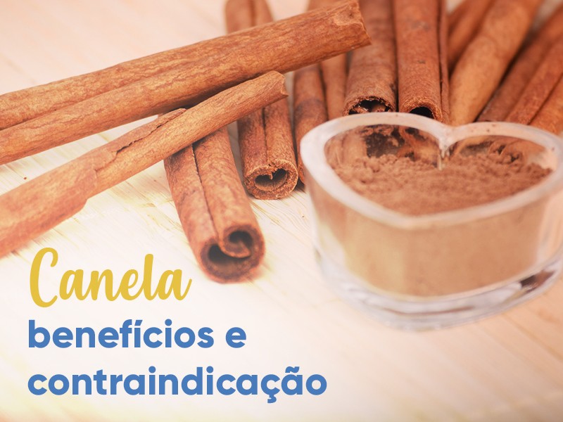 Propriedades Antimicrobianas: Uma Barreira de Proteção - inspiração 1
