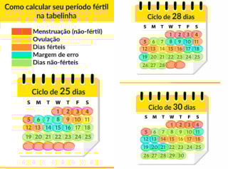 Mitos e Verdades Sobre o Período Fértil - inspiração 1
