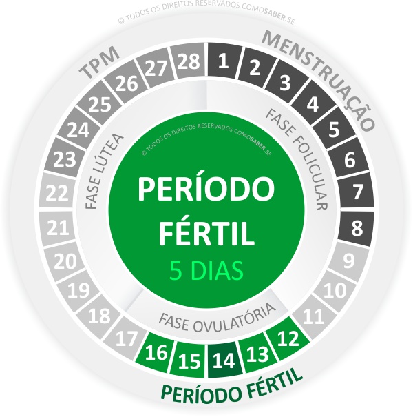 Planejamento Familiar: Usando a Informação a Seu Favor - inspiração 1