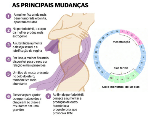 Quando Procurar Ajuda Profissional: Dúvidas e Inseguranças - inspiração 1