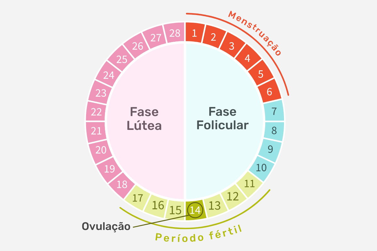 O Ponto Crucial: Identificando o Dia da Ovulação Estimada - inspiração 1