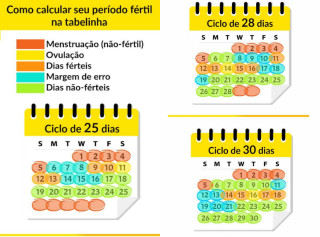 A Janela de Oportunidade: Calculando os Dias Férteis - inspiração 2