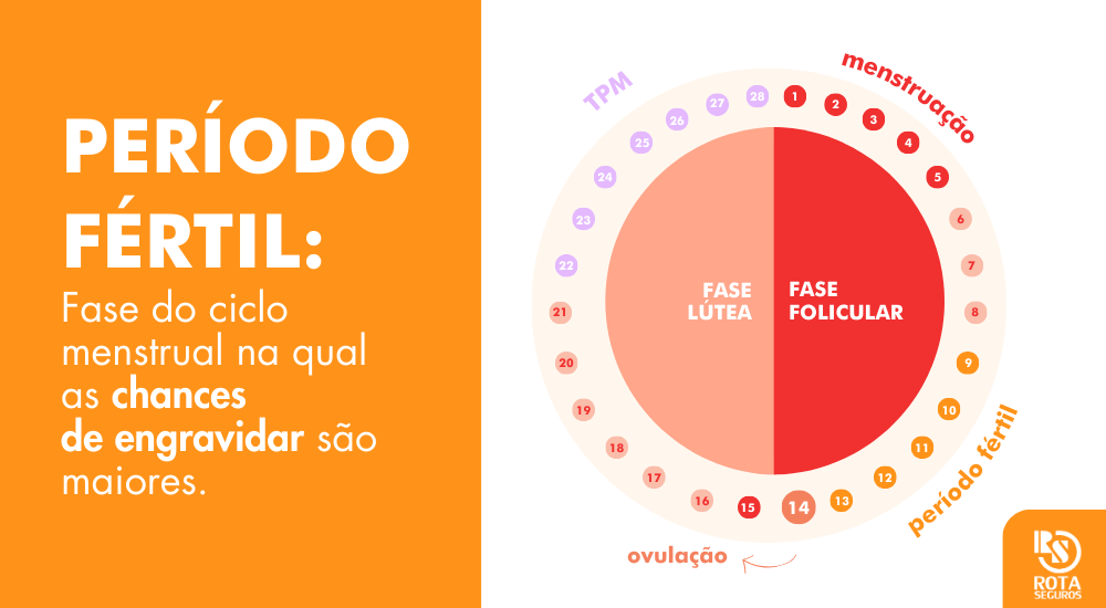 O Teste de Ovulação: Um Aliado Moderno e Confiável - inspiração 2