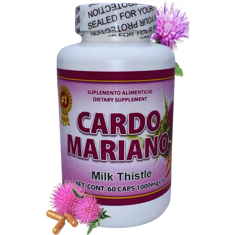 O que é o Cardo Mariano e sua História Milenar? - inspiração 2