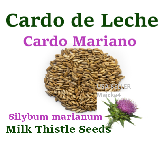 Cardo Mariano e Controle do Açúcar no Sangue: Uma Nova Perspectiva - inspiração 1