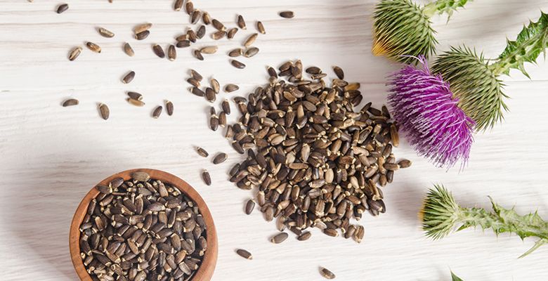 Propriedades Antioxidantes do Cardo Mariano Contra o Envelhecimento - inspiração 2