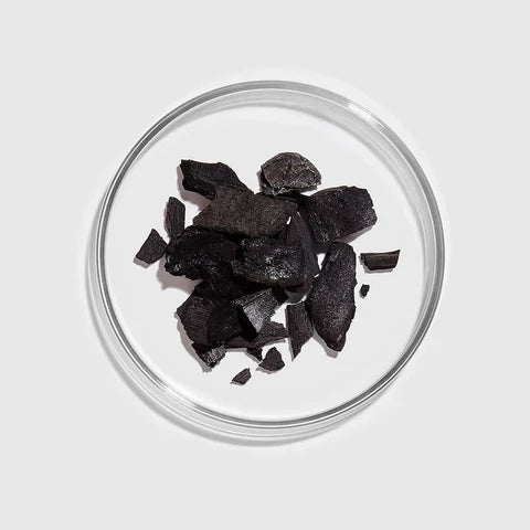 Desodorizando sua Casa Naturalmente com Carvão Ativado - inspiração 1