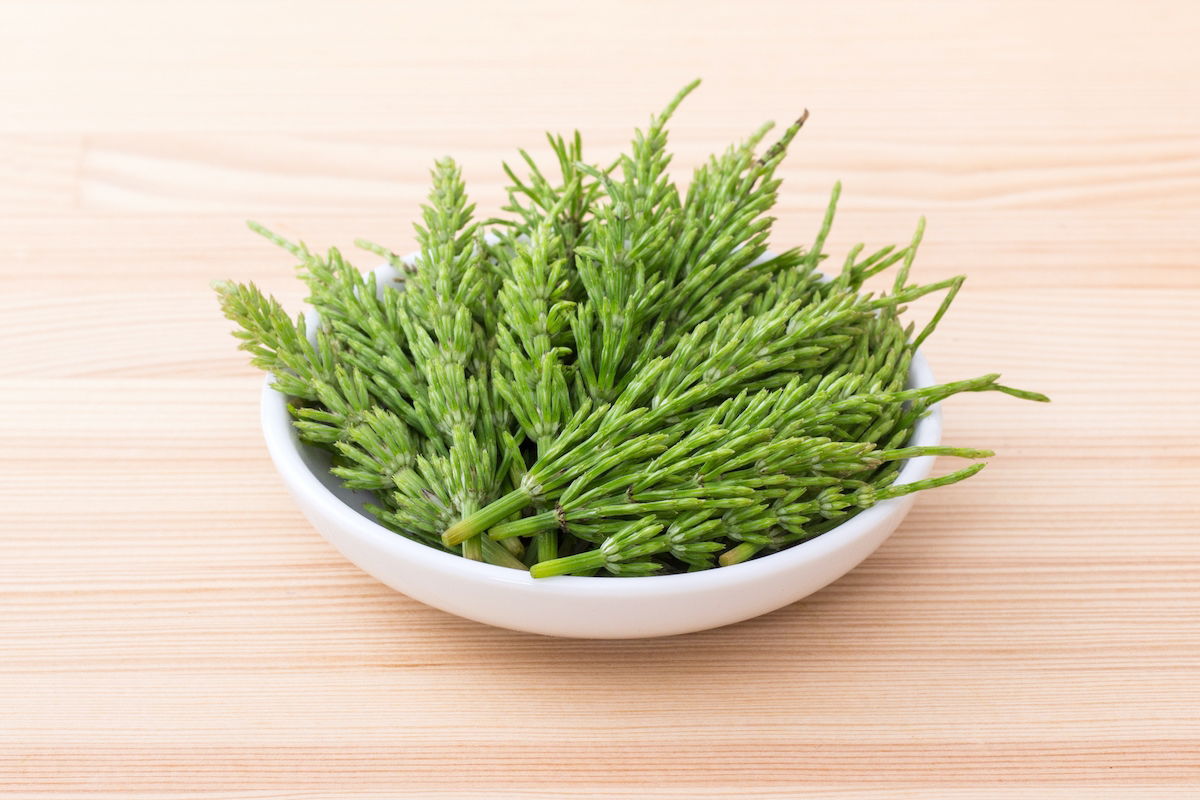 Como a Cavalinha Auxilia na Saúde da Pele, Cabelos e Unhas - inspiração 2