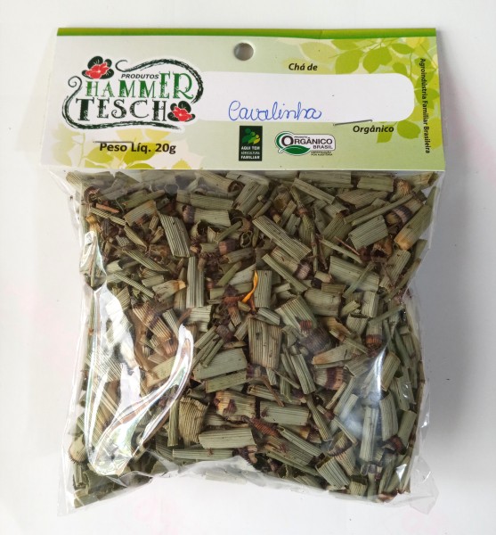 Cavalinha e o Emagrecimento: Entenda a Relação - inspiração 1