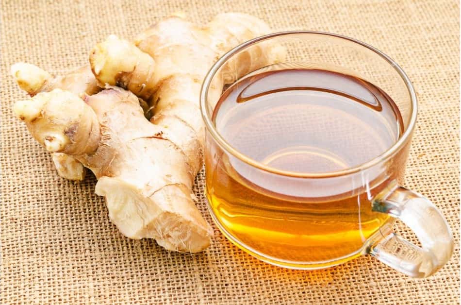 Bem-Estar Respiratório: Respire Aliviada em Todas as Estações - inspiração 2