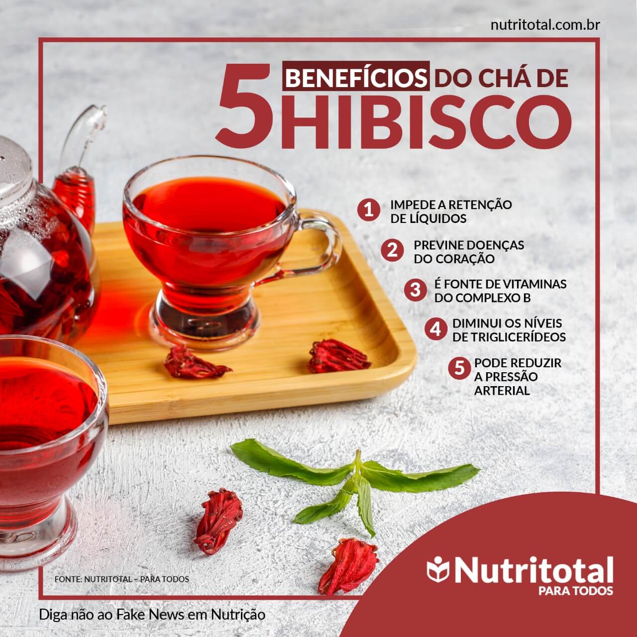 Propriedades Antioxidantes do Hibisco: Combatendo os Radicais Livres - inspiração 1